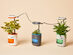 PICO Smart Indoor Herb Planter (Sea Green/3-Pack)