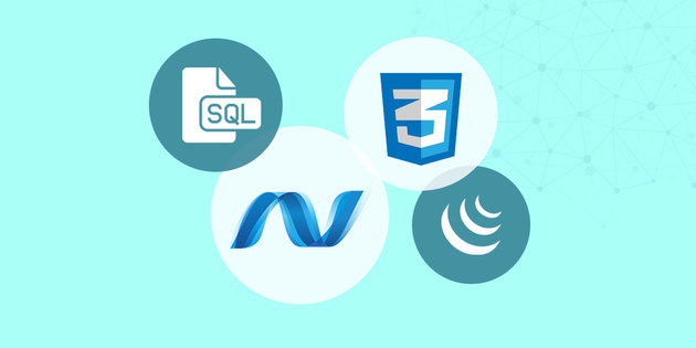 A SQL Server, ASP.NET, CSS, C# & jQuery Course