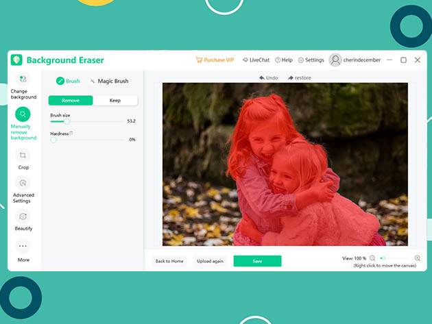 Apowersoft AI-Powered Background Eraser (50 Images)