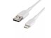 Belkin 1 Foot Dual Port Home Charger with A to LTG Braided Cable, Easy to Keep Your Devices Charged, White