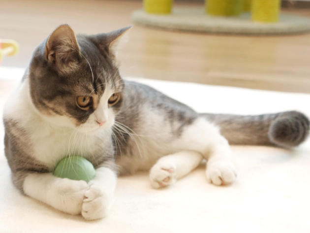 Cheerble Ice Cream Ball Smart Interactive Cat Toy for Indoor Cats & Kittens (Matcha Green)