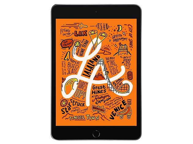 Apple iPad Mini 5 (2019) 7.9" Retina 256GB - Gray (Refurbished: Wi-Fi Only)