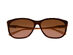 Swarovski Dark Brown/Other & Gradient Brown Square Sunglasses (Store-Display Model)