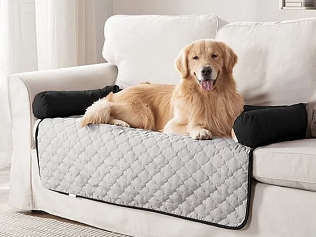 Silver & Black Reversible Furniture Pet Bed Protectors (45" x 34")