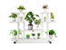 Costway 4-Tier Rolling Flower Rack Wood Plant Stand Casters 12 Pots Bonsai Display Shelf - White