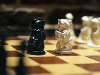 Modern Defense Mastermind with IM Milovan Ratkovic - Product Image