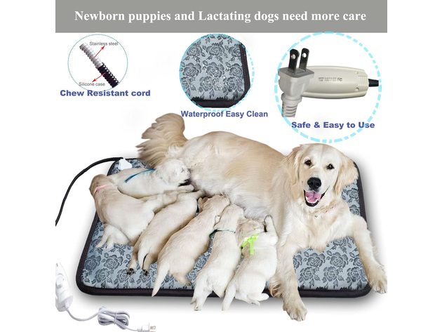 Dog Heating Pad