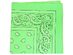 Mechaly Paisley 100% Cotton Bandanas - Neon Green