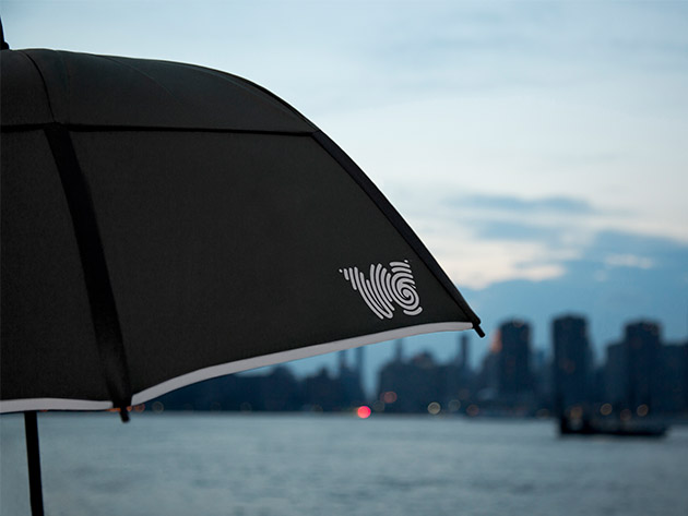 The Collapsible Umbrella (Black)