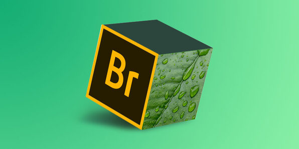 Mastering Adobe Bridge CC - Product Image