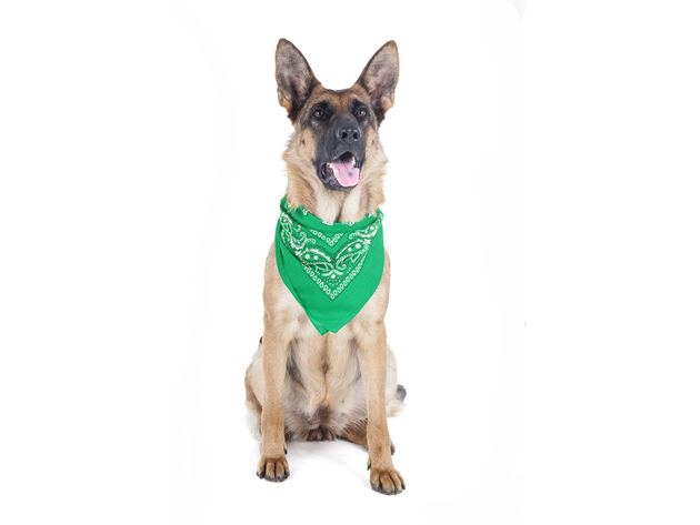 8 Pack Paisley Polyester Pets Dogs Bandana Triangle Shape  - Oversized - Green
