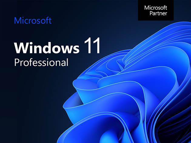 Microsoft Windows 11 Pro  StackSocial