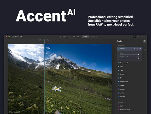Luminar AI: Lifetime License (Mac & Windows)