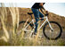4130 All-Road - Flat Bar - Cupertino Pearl Bike
