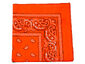 Neon Orange