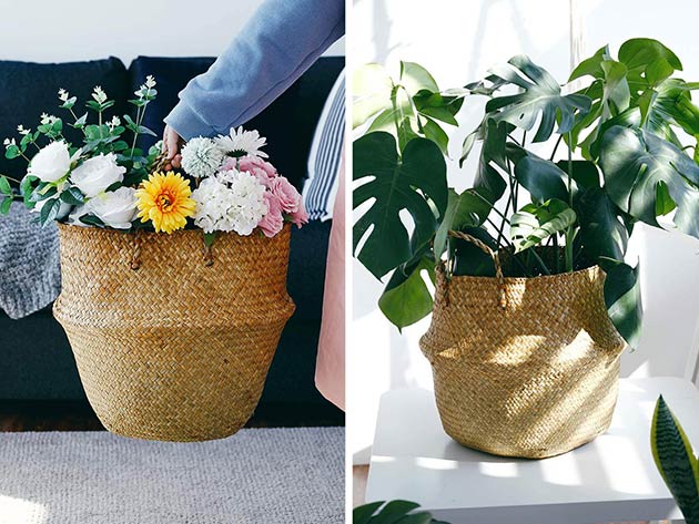 Potey Original Brown Handwoven Seagrass Plant Basket