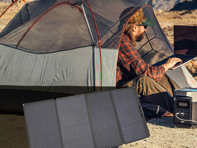 EcoFlow DELTA + 110W Solar Panel