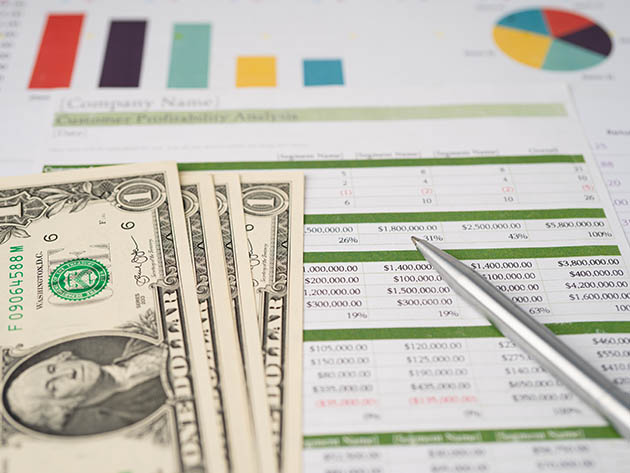 Money in Excel: Income Tax Sch. C & Personal Financials
