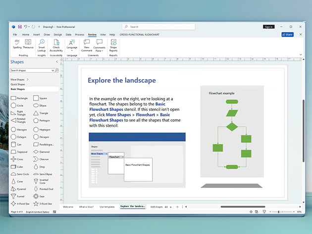 Microsoft Visio Standard 2024: Lifetime License for Windows