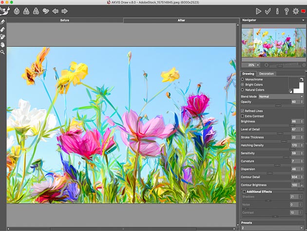 Akvis Draw Pencil Sketch Software: Lifetime License (Business)