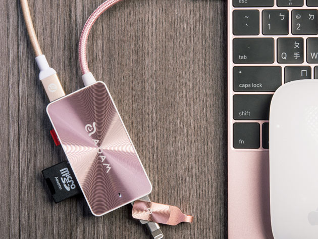 CASA Hub + PeAk USB Adapter Bundle (Rose Gold)