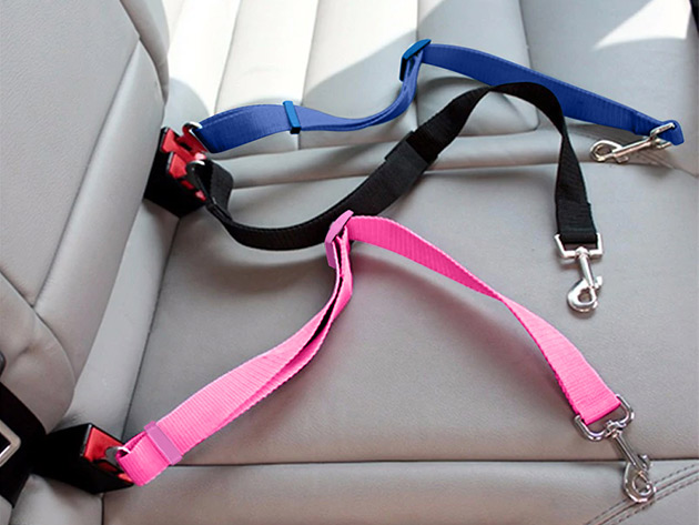 Car Pet Safety Seat Belt