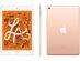 Apple iPad Mini 5th Gen (2019) 64GB WiFi Gold (Refurbished)