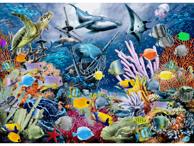 Colorful Marine Jigsaw Puzzles 1000 Piece