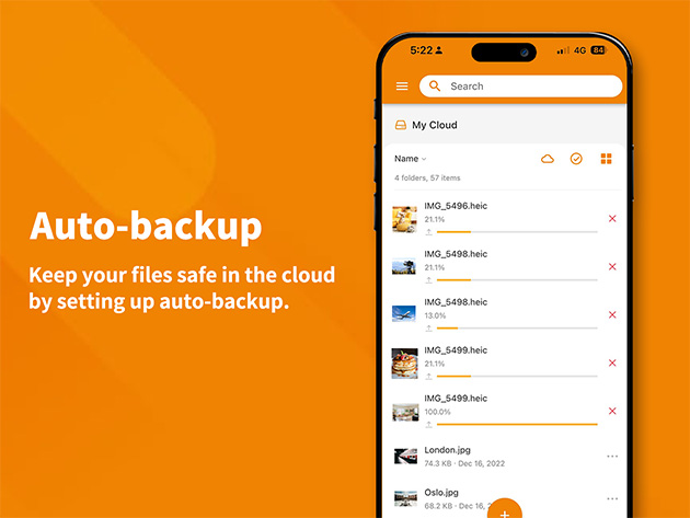 Amaryllo Cloud Storage: One-Time Payment (2-Pack)