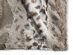 BuddyRest Lynx Dog Armour™ Blanket (Beige/Medium)