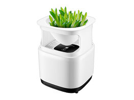 Micro-Ecological Desktop Air Purifier with Plant Pot