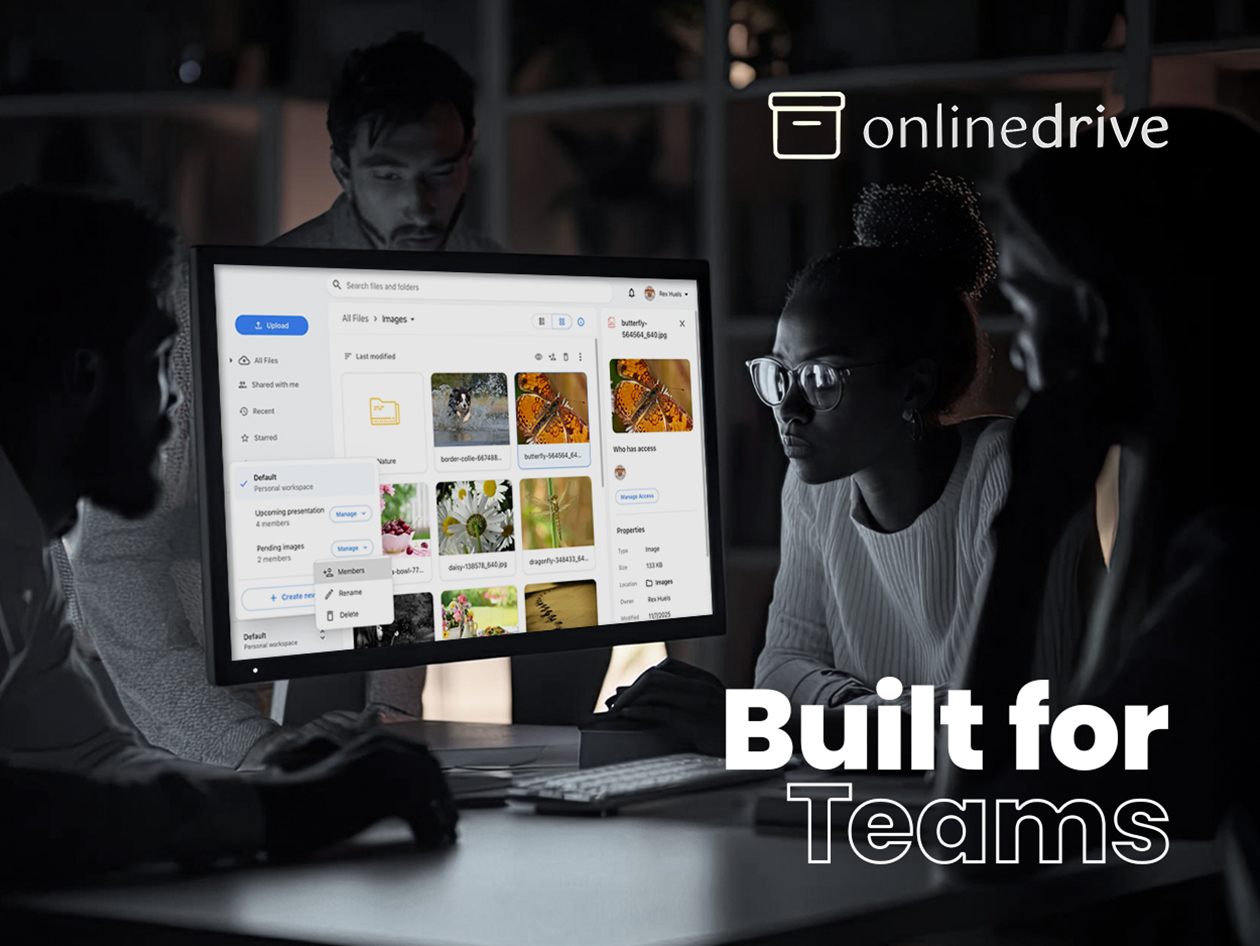 OnlineDrive Cloud Storage: Lifetime Subscription (Enterprise Plan/6TB)