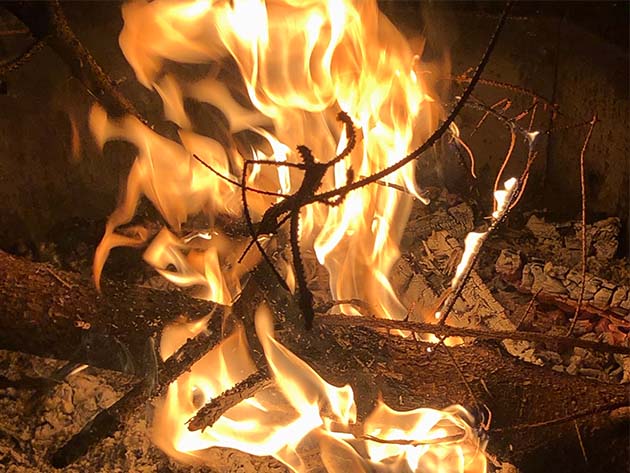 Realtree All-Purpose Waterproof Fire Starters (50-Piece)