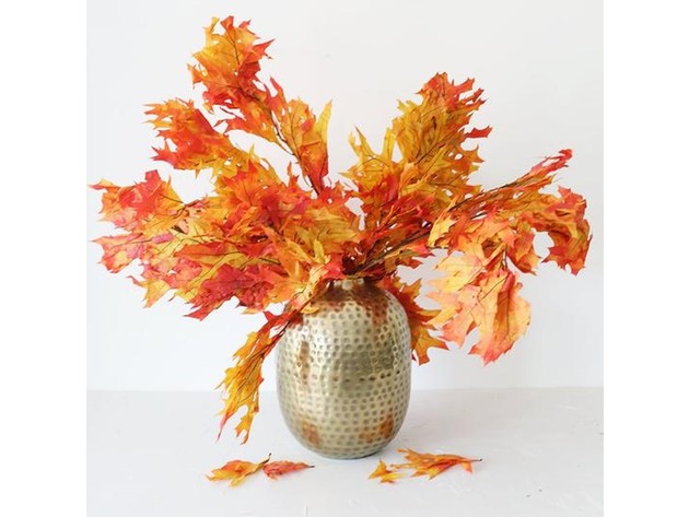 Homvare Transparent Preserved Fall Oak Leaves 5 Pieces Oz Artificial Ornament for Fall, Thanksgiving, Halloween, Party and Wedding Decorations