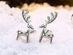 Reindeer Classic Gold Plated Stud Earrings (White Gold)
