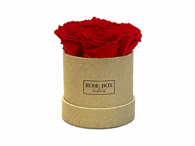 Mini Gold Box with 5 Long-Lasting Roses