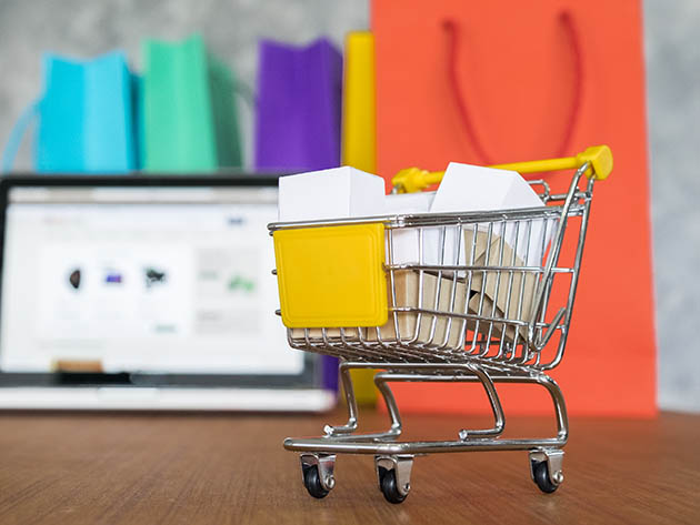 The Ultimate e-Commerce Master Class