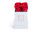 White Box/Red Roses