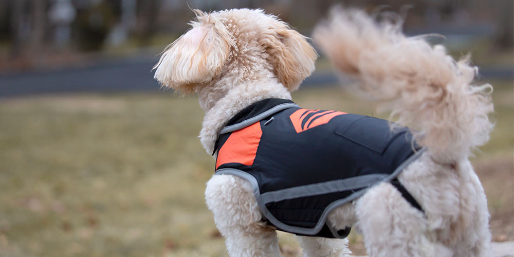 5V rechargeable waterproof heated dog vest