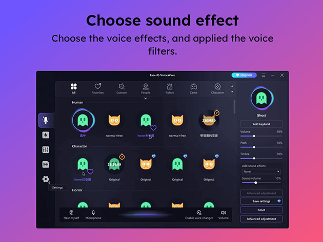 EaseUS VoiceWave: Lifetime License