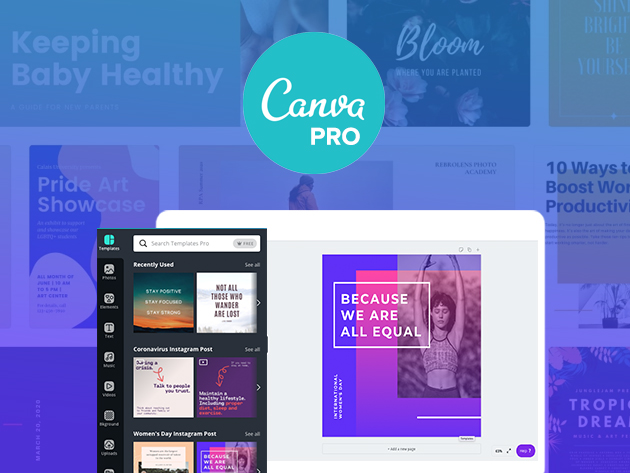Canva Pro: 3-Month Subscription